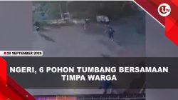 [VIDEO] Pohon 40 Meter Tumbang Menimpa Warga Bogor, 4 Orang Luka-Luka | U-NEWS
