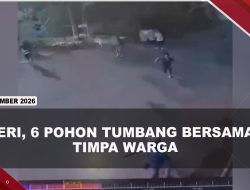 [VIDEO] Pohon 40 Meter Tumbang Menimpa Warga Bogor, 4 Orang Luka-Luka | U-NEWS