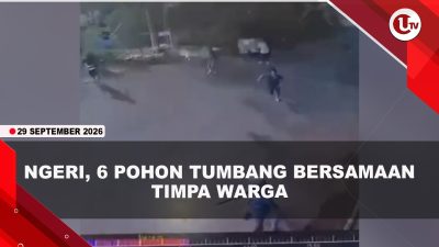 [VIDEO] Pohon 40 Meter Tumbang Menimpa Warga Bogor, 4 Orang Luka-Luka | U-NEWS