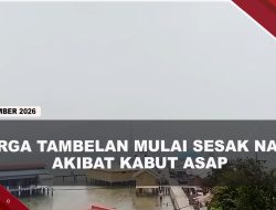 [VIDEO] Kabut Asap Tebal Selimuti Tambelan Bintan, Masyarakat Mulai Sesak Napas | U-NEWS