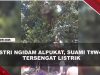 [VIDEO] Ambil Alpukat Untuk Istri Ngidam, Suami di Bitung T#was Tersengat Listrik | U-NEWS