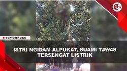 [VIDEO] Ambil Alpukat Untuk Istri Ngidam, Suami di Bitung T#was Tersengat Listrik | U-NEWS