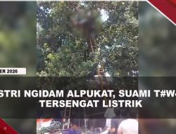 [VIDEO] Ambil Alpukat Untuk Istri Ngidam, Suami di Bitung T#was Tersengat Listrik | U-NEWS