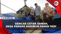 [VIDEO] Desa Pangke Karimun Targetkan 20 Hektare Sawah Pada 2027 | U-NEWS