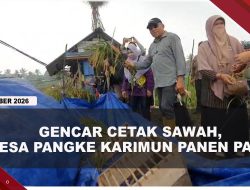 [VIDEO] Desa Pangke Karimun Targetkan 20 Hektare Sawah Pada 2027 | U-NEWS