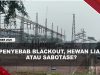 [VIDEO] Dirut PLN Batam Belum Simpulkan Penyebab Blackout, Sebut CCTV Gardu Bergeser | U-NEWS