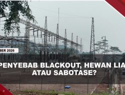 [VIDEO] Dirut PLN Batam Belum Simpulkan Penyebab Blackout, Sebut CCTV Gardu Bergeser | U-NEWS