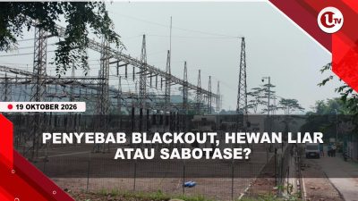 [VIDEO] Dirut PLN Batam Belum Simpulkan Penyebab Blackout, Sebut CCTV Gardu Bergeser | U-NEWS