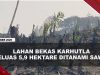[VIDEO] Lahan Bekas Karhutla di Dharmasraya Ditanami Sawit, Polisi Buru Pelaku | U-NEWS