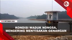 [VIDEO] Waduk Nongsa Masih Mengering, Air Embung Kebun Raya Dialirkan Lewat Pipa | U-NEWS