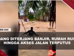 [VIDEO] Hujan Deras Picu Banjir di Padang, Ratusan Rumah Warga Terendam | U-NEWS
