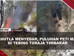[VIDEO] Karhutla Merembet Ke Area Kuburan Tebing Toraja, Puluhan Peti Jenazah Terbakar | U-NEWS